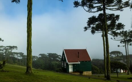 Receita Federal moderniza declaração do imposto rural em 2025