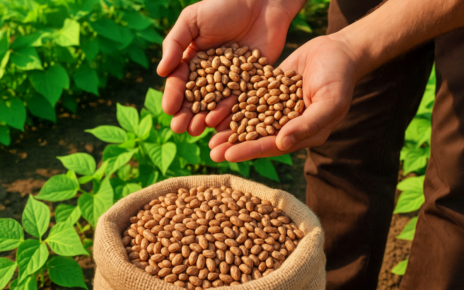 Brasil investe em potássio para reduzir dependência externa