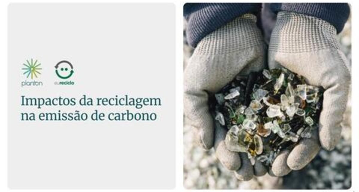 Estudo revela impacto da reciclagem nas emissões de carbono