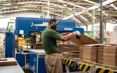 Indústria de celulose avança sob pressão por sustentabilidade