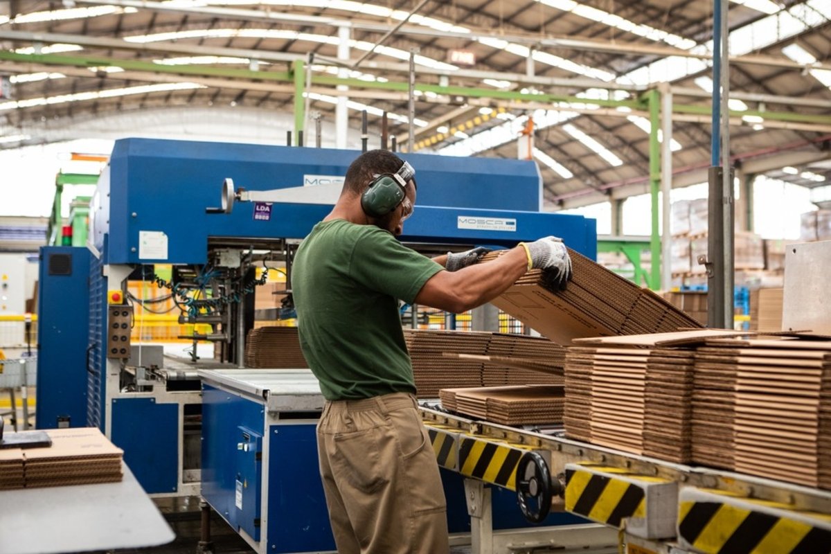 Indústria de celulose avança sob pressão por sustentabilidade