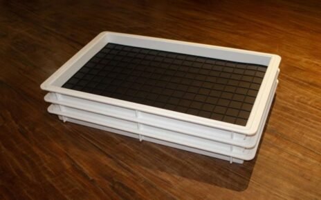 Padronização e sustentabilidade ganham espaço nas cozinhas profissionais