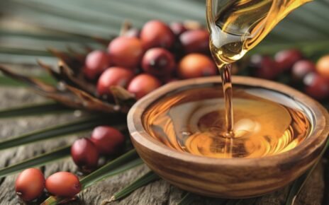 Lubrificação industrial impacta na indústria do óleo de palma