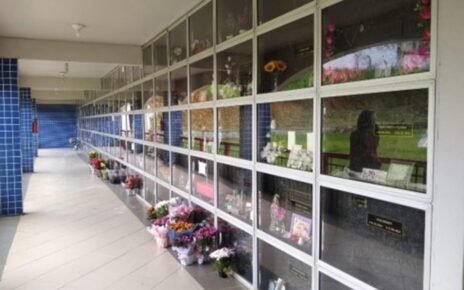 Setor funerário inova, cresce e tem foco sustentável