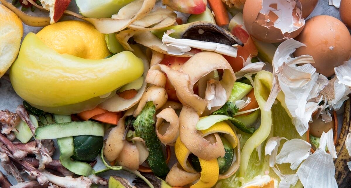 Pacto une setores para combater desperdício de alimentos