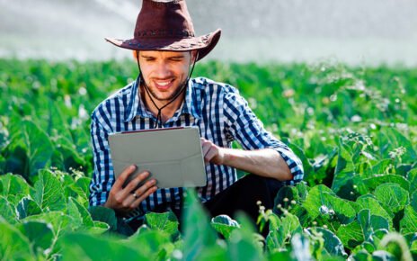 Tecnologia brasileira impulsiona a inovação no agronegócio