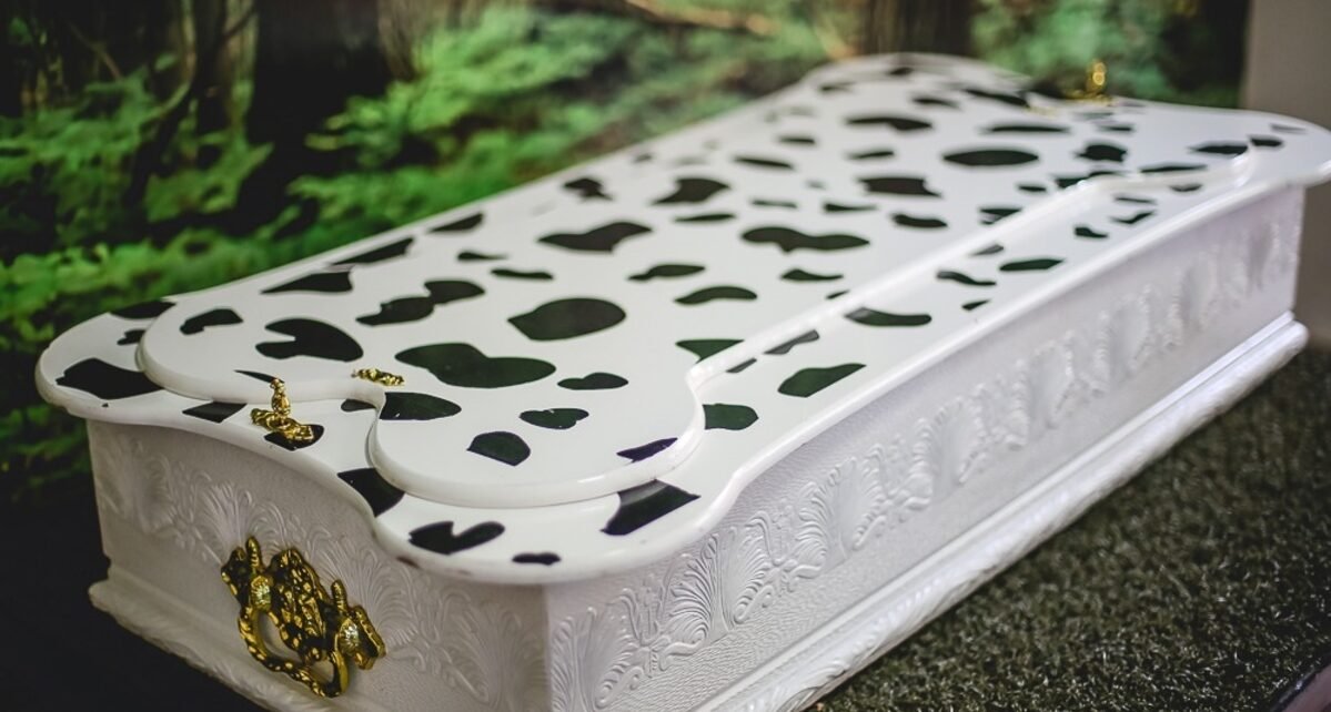 Especialistas reforçam acolhimento no luto por pets