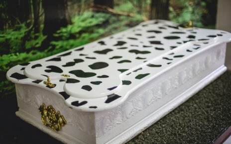 Especialistas reforçam acolhimento no luto por pets