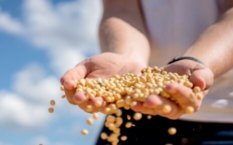 Fiagros ganham novo impulso com marco regulatório