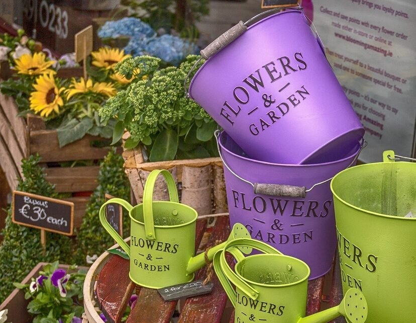 Marketing digital impulsiona crescimento e fidelização nas floriculturas