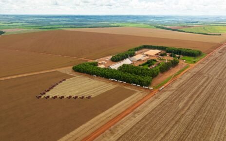 Grupo Bom Jesus implementa novas práticas de governança