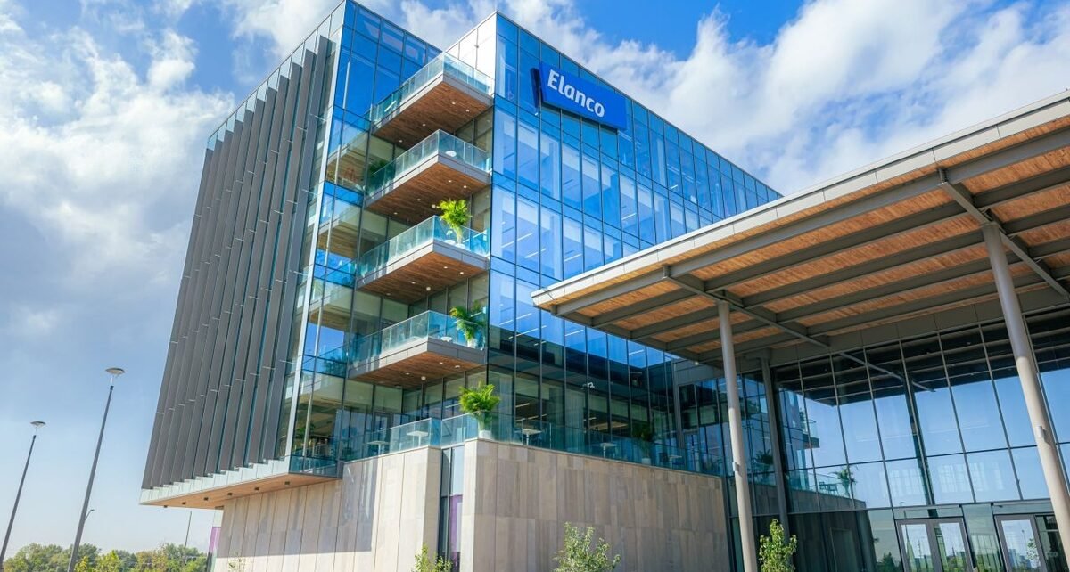 Elanco projeta ciclo de crescimento em Dia do Investidor