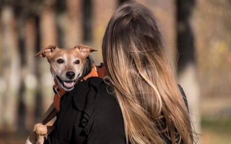 Grupo Colina dos Ipês lança plano funerário para animais de estimação