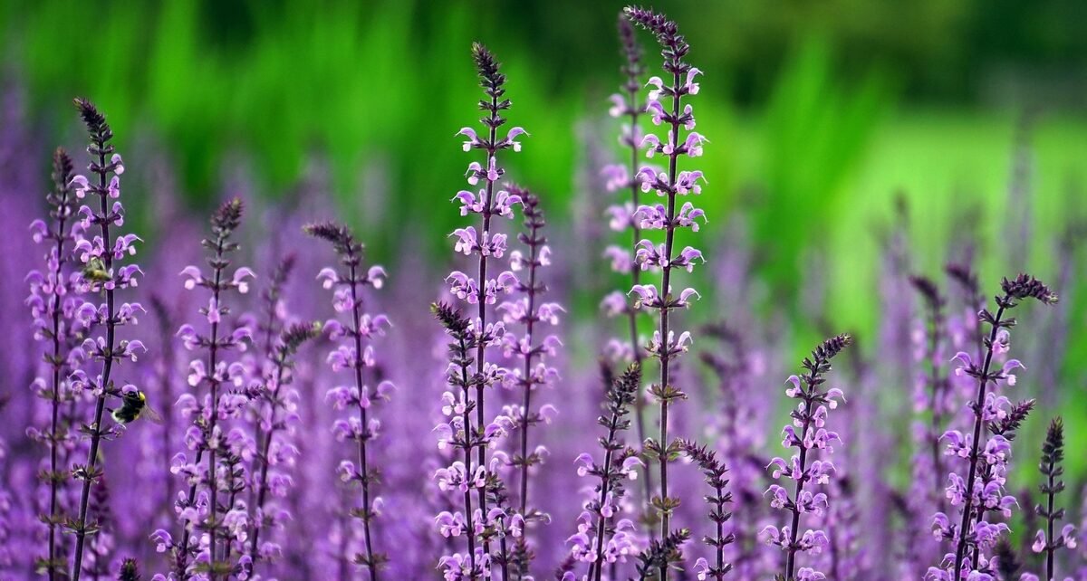 Giuliana Flores inaugura nova loja no Jardim Marajoara, em São Paulo