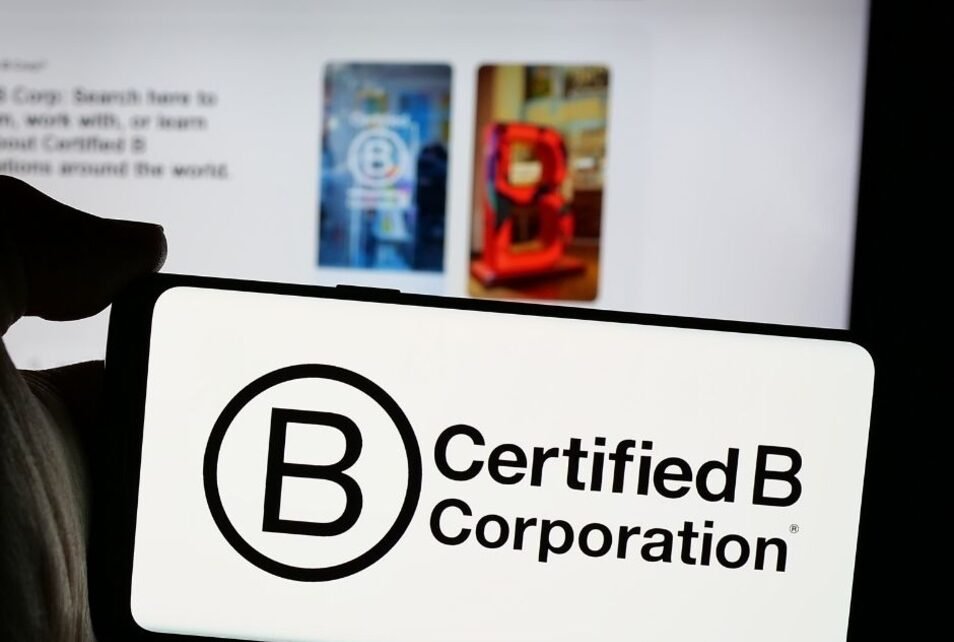 Como as Empresas B têm se diferenciado no mercado