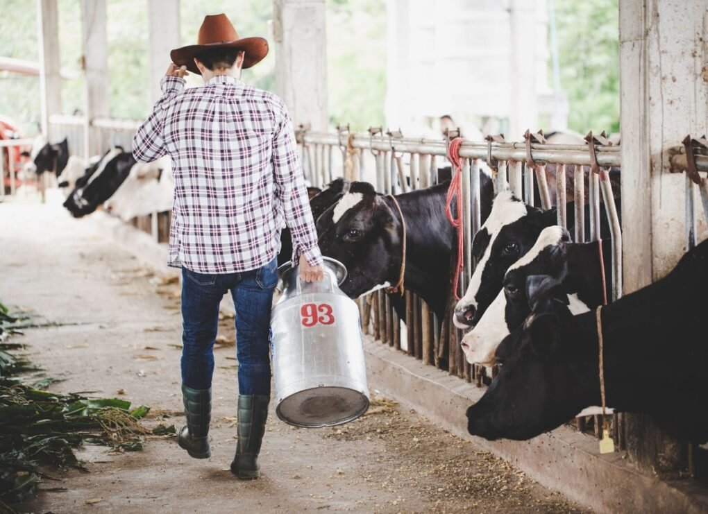 Escovas técnicas em nylon impulsionam higiene e eficiência na pecuária leiteira