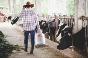 Escovas técnicas em nylon impulsionam higiene e eficiência na pecuária leiteira