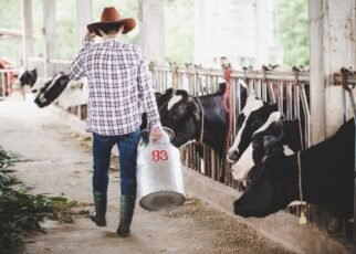 Escovas técnicas em nylon impulsionam higiene e eficiência na pecuária leiteira