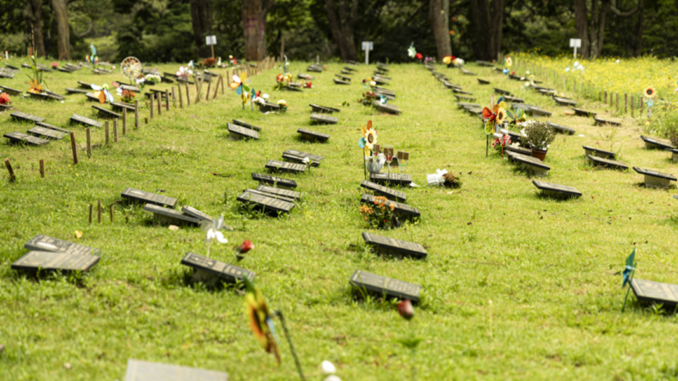 Concessão de Cemitérios de São Paulo completa três anos