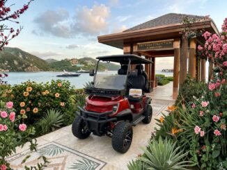 Ecoolmove lança garantia de recompra de carrinhos elétricos