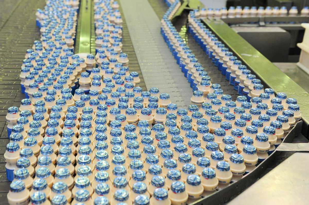 Yakult 40 light completa 10 anos de mercado