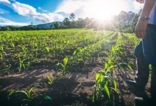 Novo El Niño reforça importância da gestão de riscos no agro