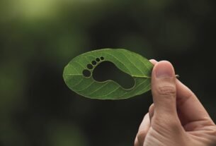 Eficiência Energética com resultados para empresas
