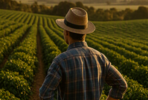 Plano Safra 2026/27 amplia crédito rural para o agronegócio