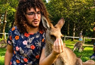 Inglês + voluntariado: experiência que fortalece causas