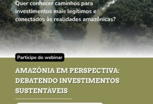 Webinário debate caminhos para investimentos sustentáveis