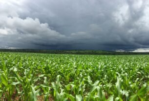 El Niño forte aumenta risco para o agronegócio