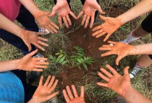 Relatórios de sustentabilidade de escolas ganham relevância
