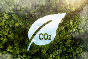 Crédito de carbono de alta qualidade sobe 75%, diz MSCI